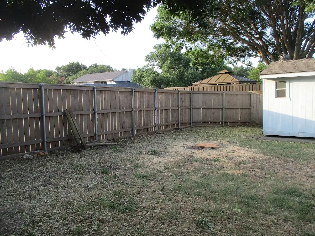 Cleared yard after professional tree removal in New Port Richey